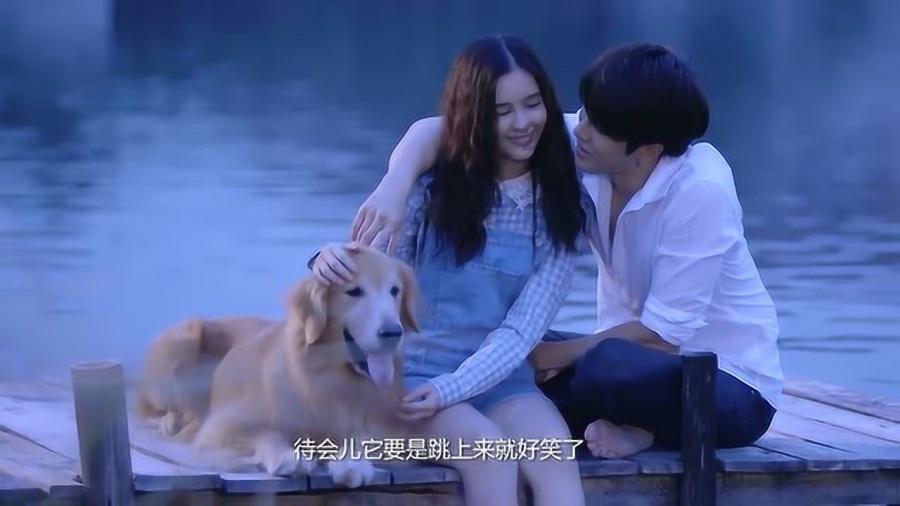 雨后盛放